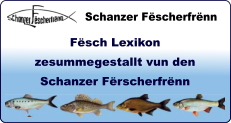 Schanzer Fëscherfrënn Sportfëscherveräin Kirchbierg Fësch Lexikon zesummegestallt vun den Schanzer Fërscherfrënn
