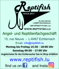 15, rue Neuve  -  L-6467 Echternach  Email: info@reptifish.lu Montag bis Freitag 15:30 - 18:00 Uhr  Samstag 09:00 - 17:00 Uhr   Angelscheine für den Echternacher See im Shop erhältlich  Angel- und Reptilienfachgeschäft   find us on          and Insta   www.reptifish.lu
