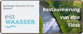 Restauréierung vun eise Flëss